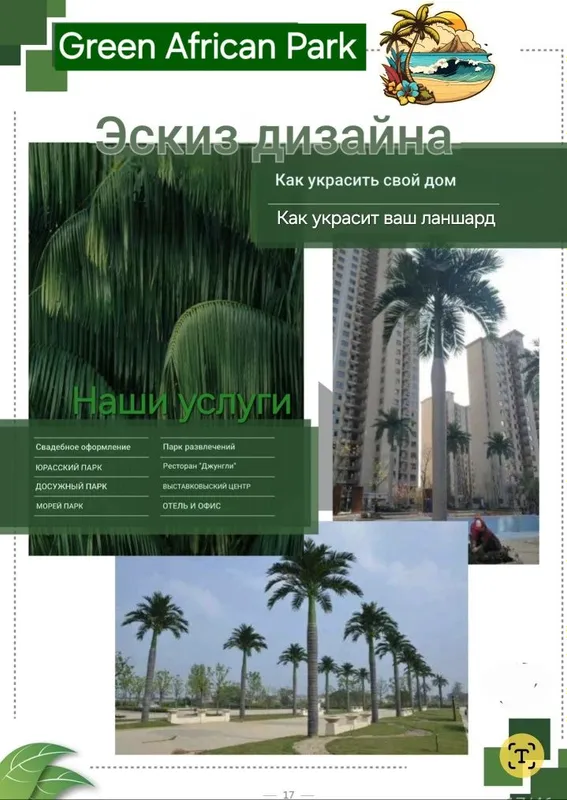 Palma darahtlar hitoy fabrika