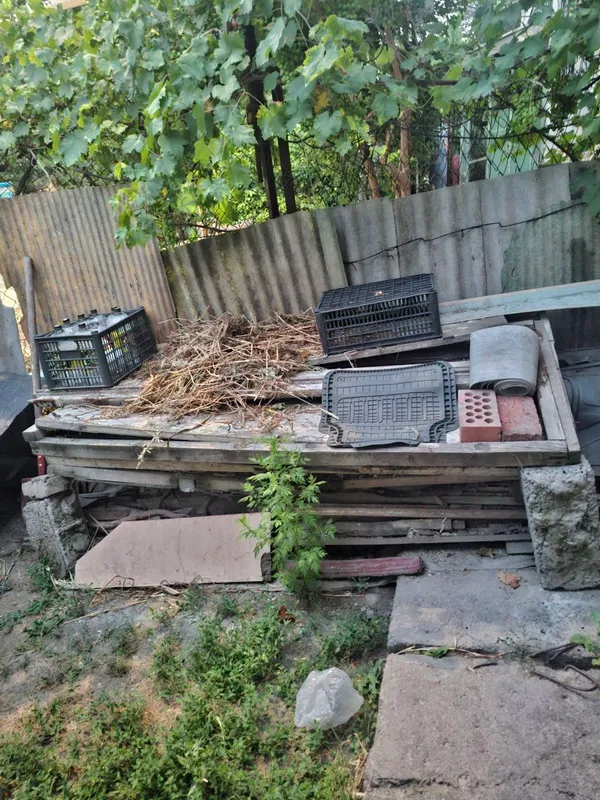 Дрова