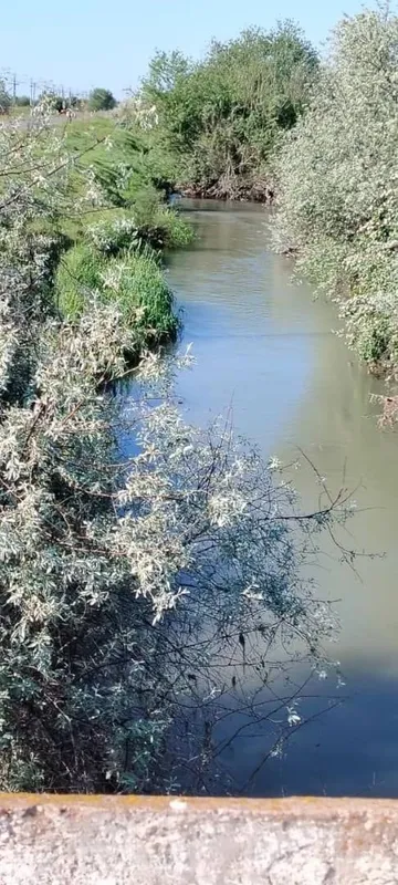 Yer uchastka sotiladi