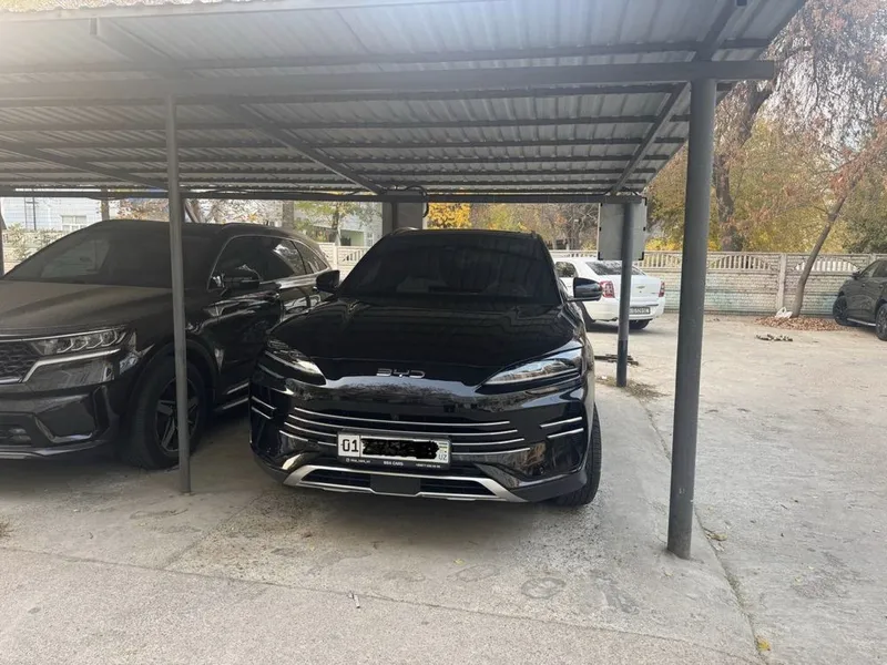 BYD Champion Gibrid 150 km (Full) — фото 2