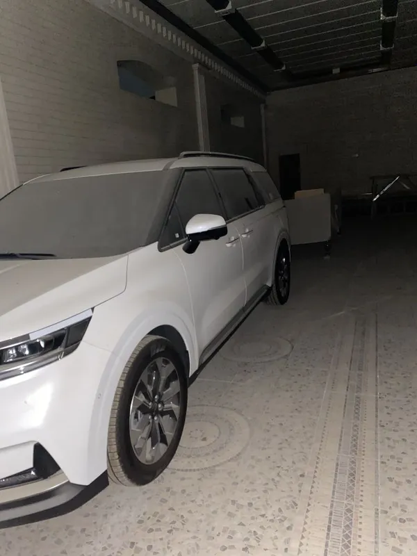 Kia Carnival Full — фото 1
