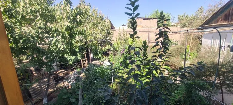 Uy sotiladi Kvartiragayam obmen bor manzil Toshkent viloyati Olmaliq — фото 3