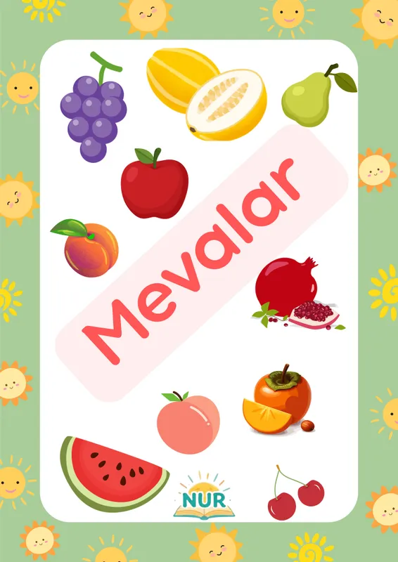 "Mevalar" fleshkartalari(pdf) 1