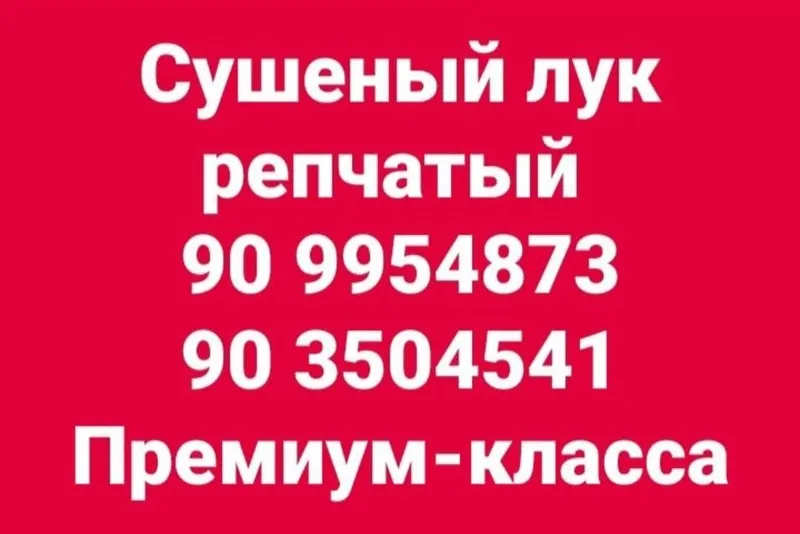 Сушёный чеснок и лук премиум класса — фото 1 Сушёный чеснок и лук премиум класса — фото 1