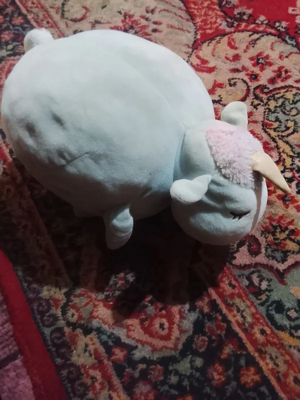 1 shohlik qoy 3