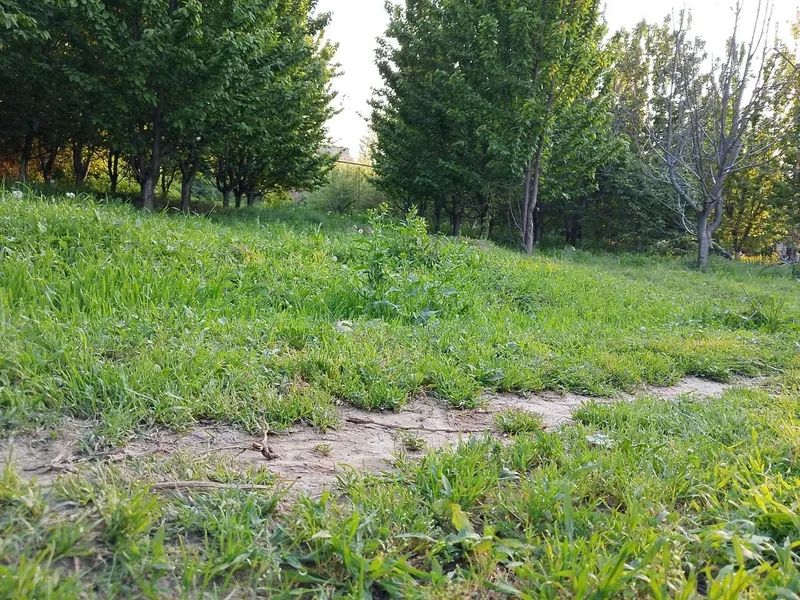 Земля продаётся, сотка 3000$ 2 Земля продаётся, сотка 3000$ 2
