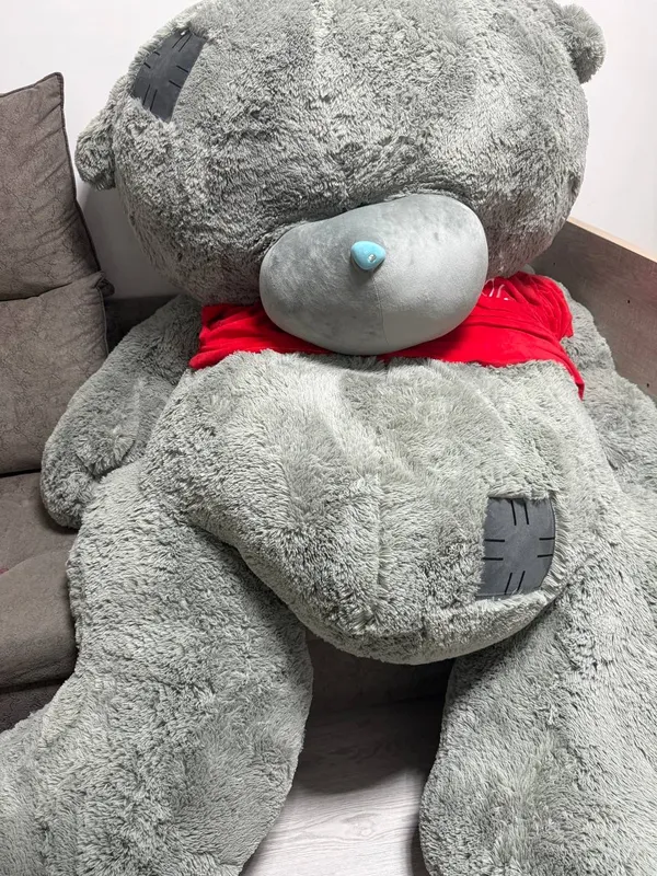 Teddy 1