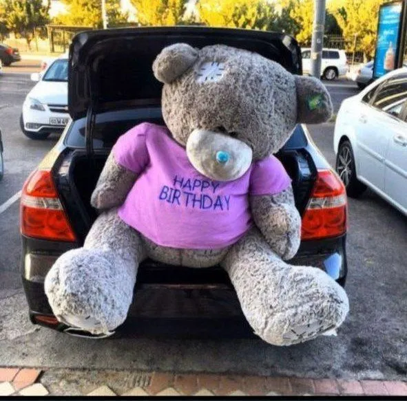 Медведь Teddy тедди 3 Медведь Teddy тедди 3