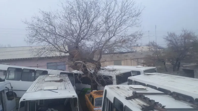 Isuzu avtobusi zabchastlari bor kimga nima keragi boʻlsa