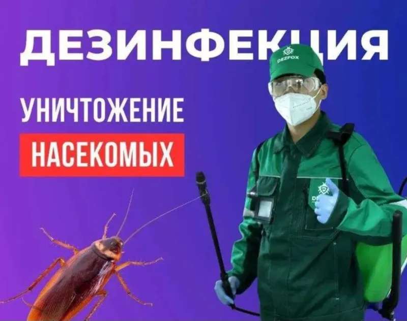 Dezinfeksiya tarakan va klapa