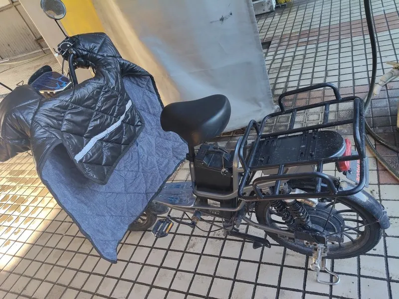 Boshijea elektra velik
