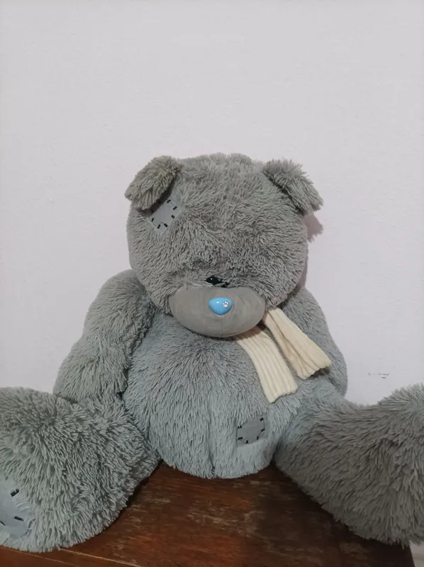 teddy ayiq