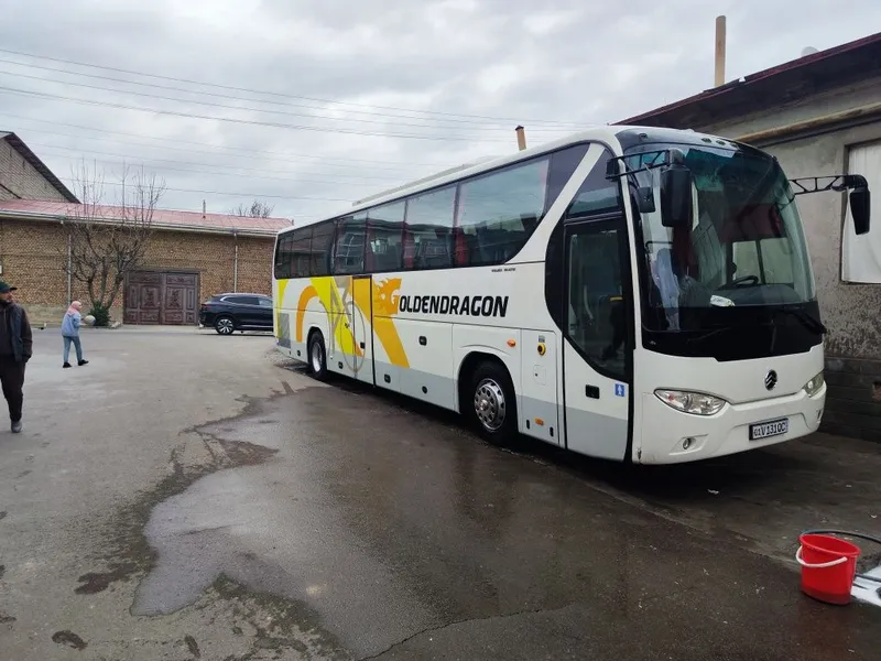 Goldin drakon avtobuz