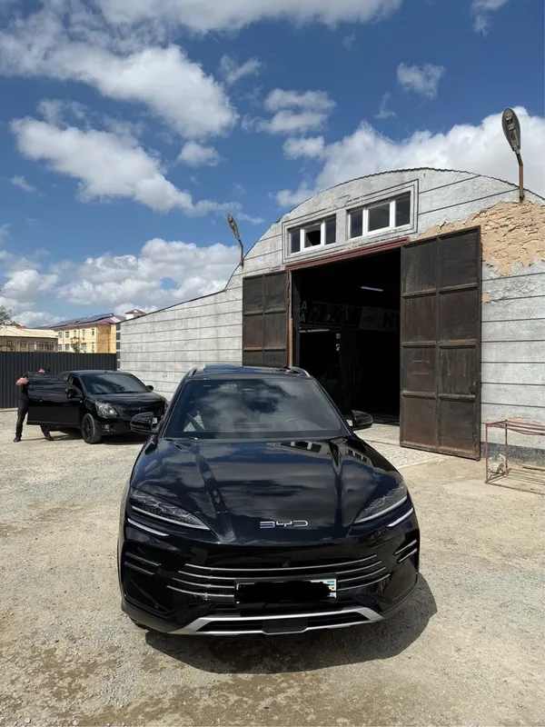 BYD chempion gibrid