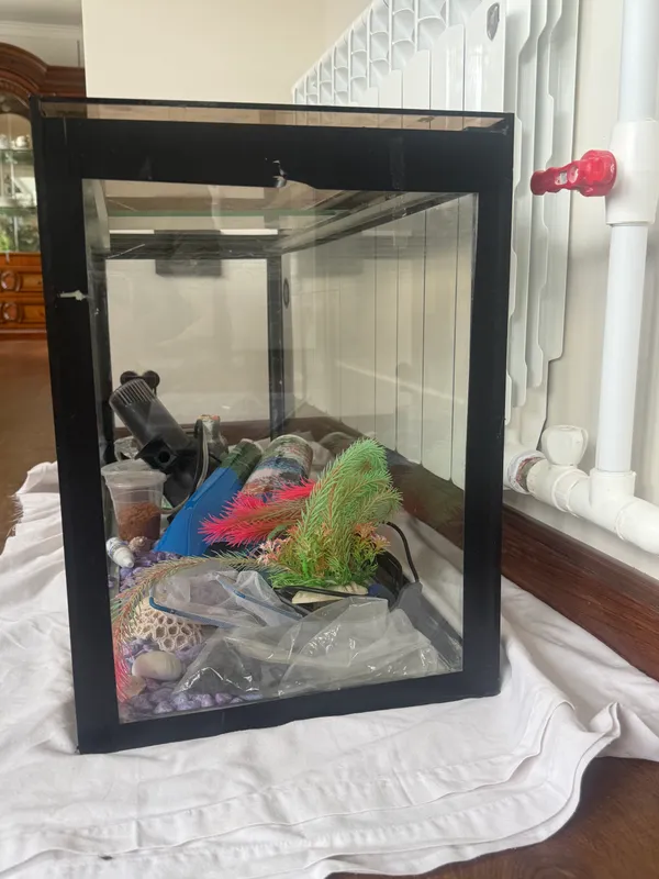 Аквариум 1