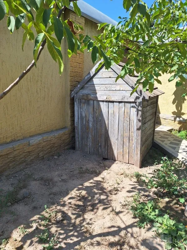 Продаётся Алабай 5 Продаётся Алабай 5