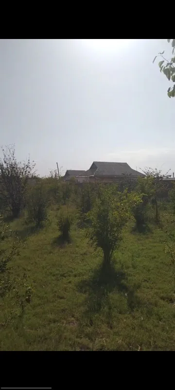 3 xona uy 15 sotih yeri bilan