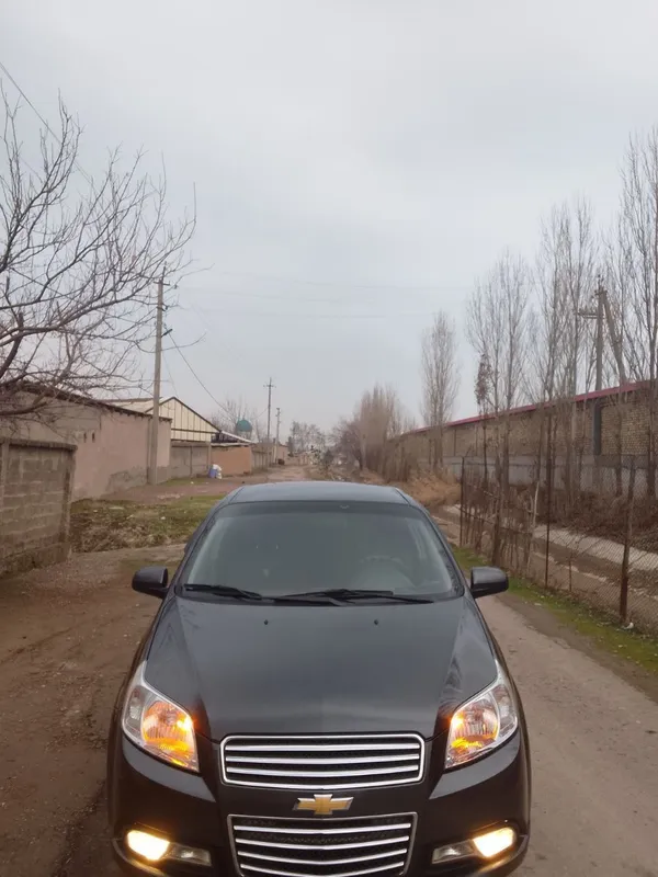 Jentra kraskasi toza 2 Jentra kraskasi toza 2