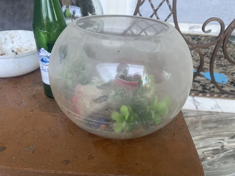 Akvarium 5l ichide hamma narsasi bilan — фото 1
