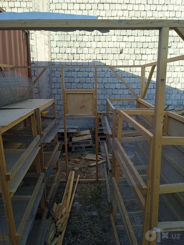 Bedana inlar, inkubator, va ozuqasi sotiladi. 3 Bedana inlar, inkubator, va ozuqasi sotiladi. 3