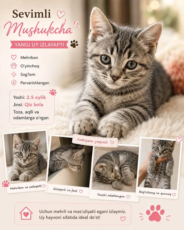 mushukcha Liza