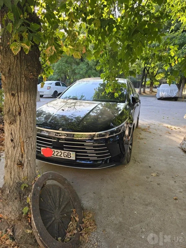 Byd chazor flagship. Gibrid 1 Byd chazor flagship. Gibrid 1