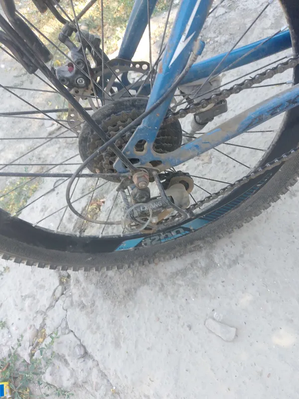 Velosioet skorisli bugun olganga kami bor — фото 3
