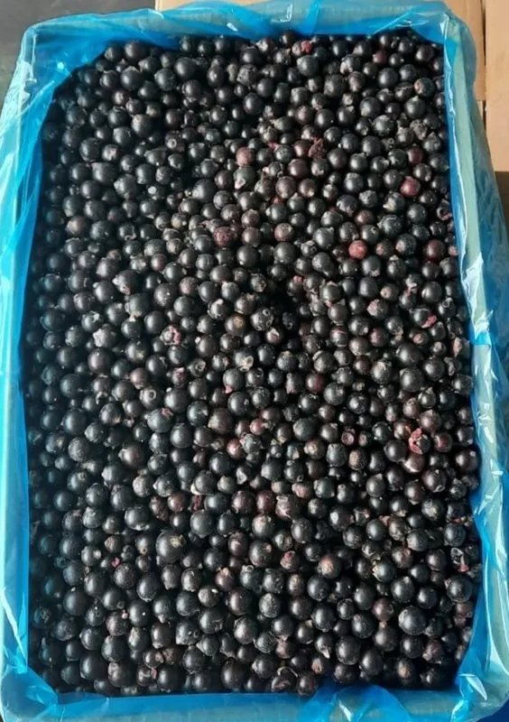 Смародина свежая — фото 1