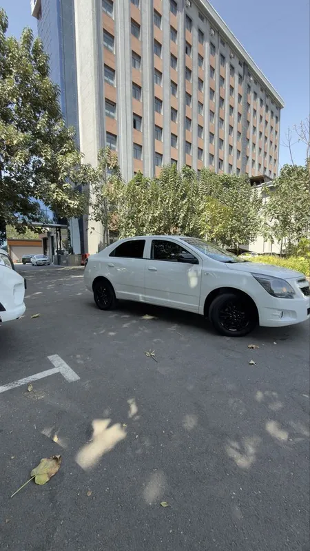 Cobalt Midnayt Кобалт миднайт 5 Cobalt Midnayt Кобалт миднайт 5
