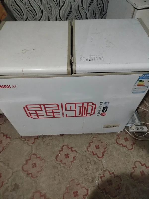 Халаделник Хингх 4