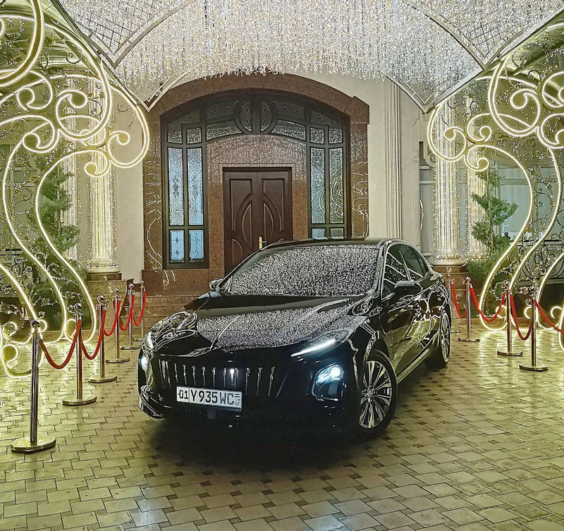Hongqi eqm5