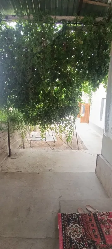 Srochni sotiladi uchastka 7