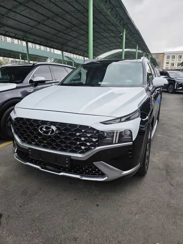 Hyundai Santa Fe 3.5 litr mator Full