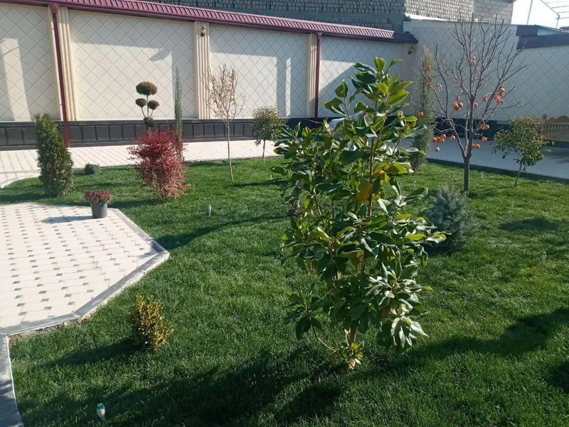 Gazon ekish va landshaft dizayni xizmati — фото 3