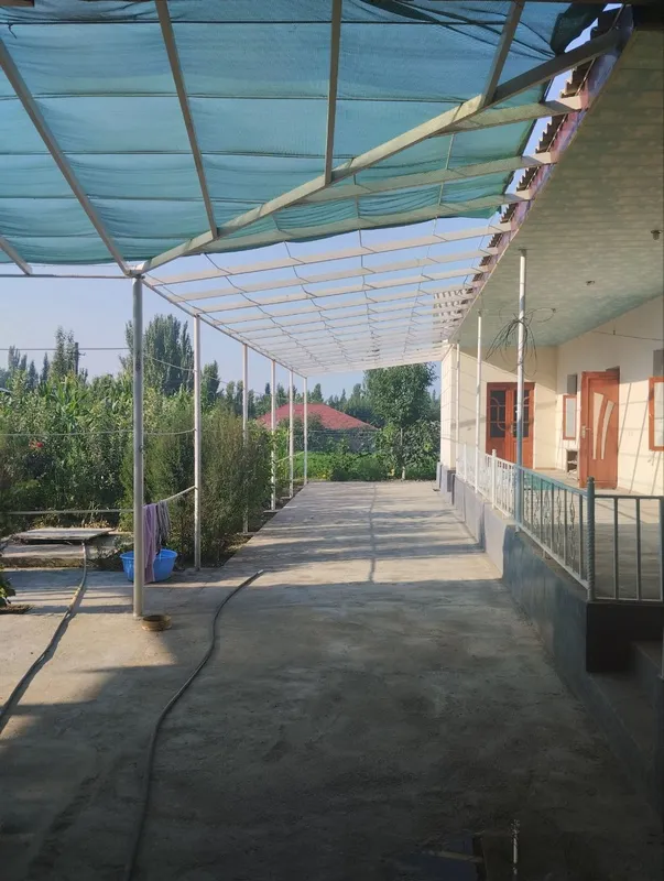 Xujjatlari joyida — фото 1