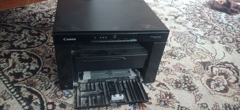 Принтер Epson 3010