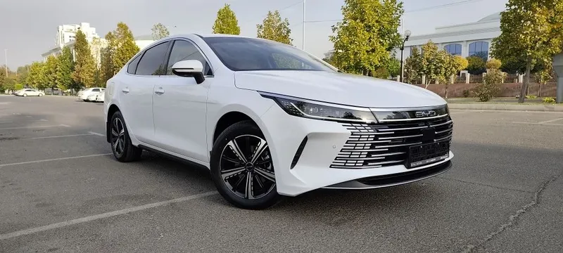 BYD Chazor flagship 120 км фулл 4 позиция.