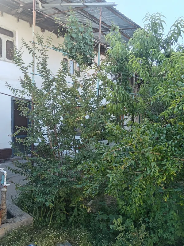 Уч кахрамон Кибрай район мехнат беш бармок участка сотилади ховли уй й — фото 6