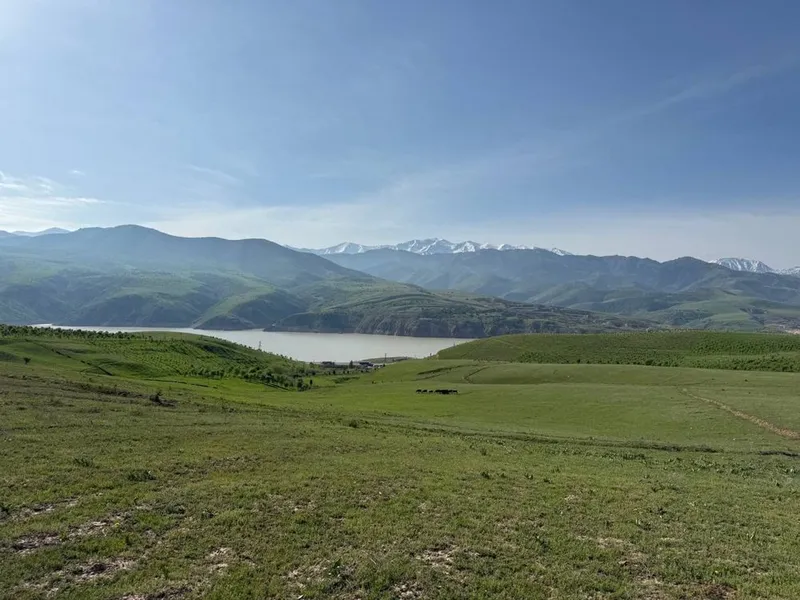 Продаётся земельный участок 4 га в Ангрене (Чинор) — фото 5