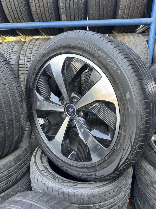BYD sonpulus disak balon arzon narxda