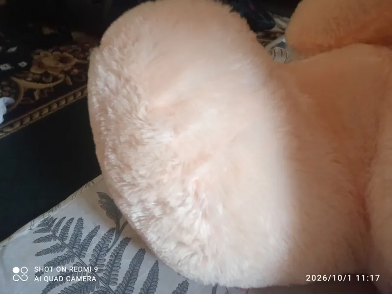 Медвежонок 2 Медвежонок 2