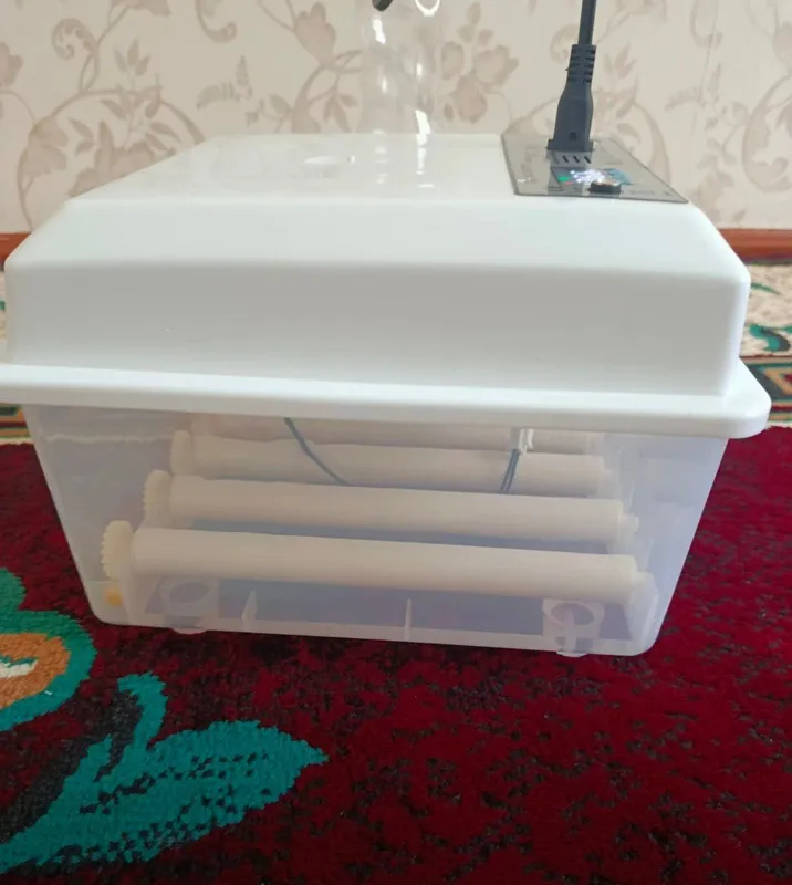 inkubator 16 , 32, 64, 128, 176, 250, 500 talik 2 inkubator 16 , 32, 64, 128, 176, 250, 500 talik 2