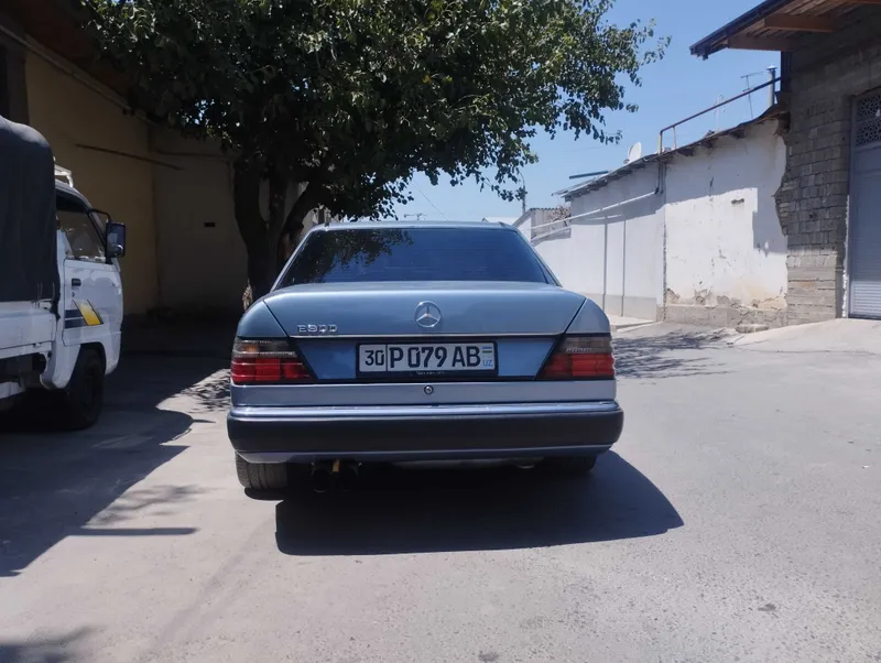 RashidovSoxib021_ 2