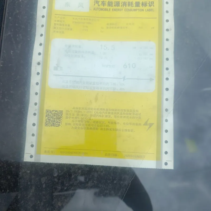 Dongfeng Ep 008 full Elektr 610 km — фото 3