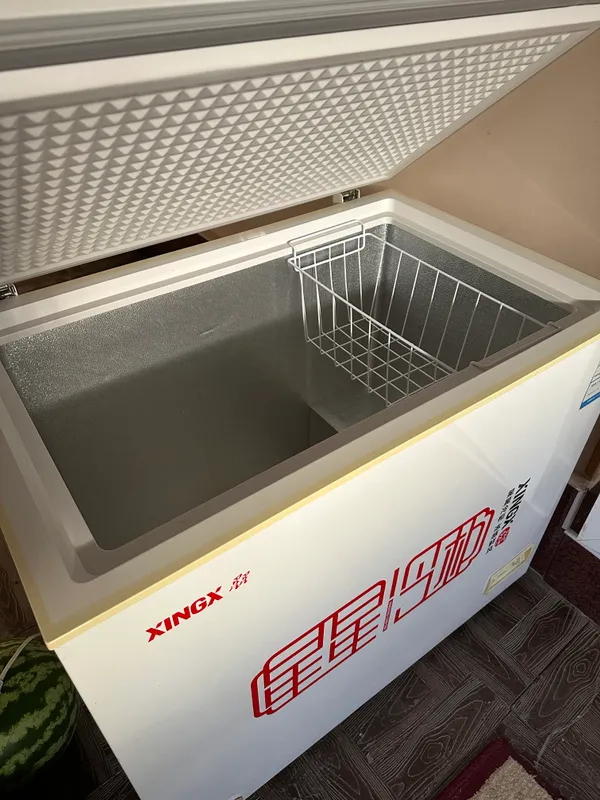 Морозильник бренда Xing 1