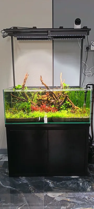 200 litrlik akvarium 1 200 litrlik akvarium 1