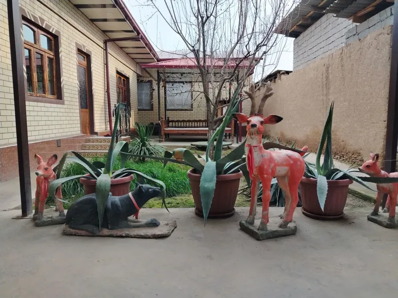 Kotta Agavalar sotiladi 1 Kotta Agavalar sotiladi 1