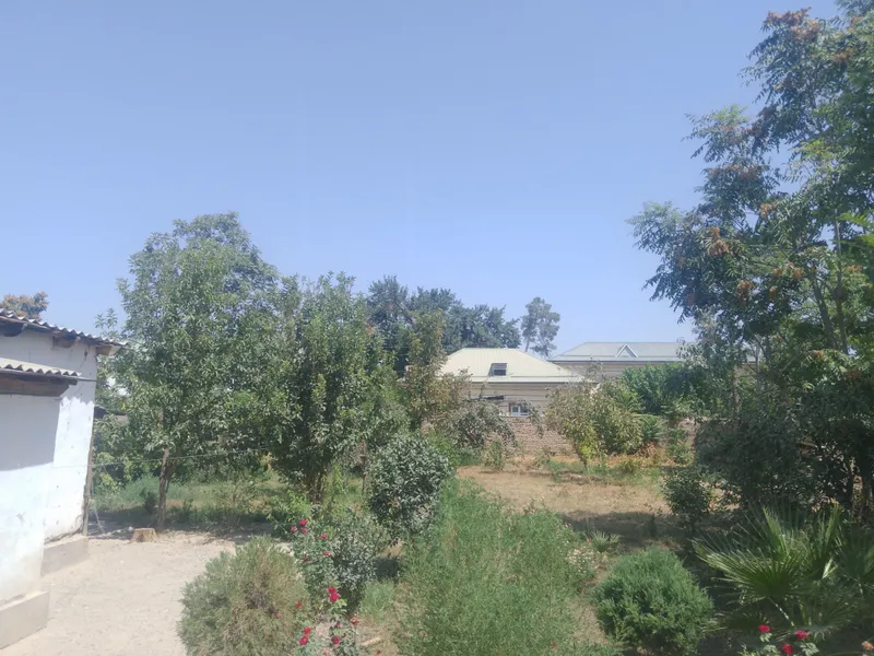 Denov tumani yangi xazarboğda 4sotix yer sotiladi 5