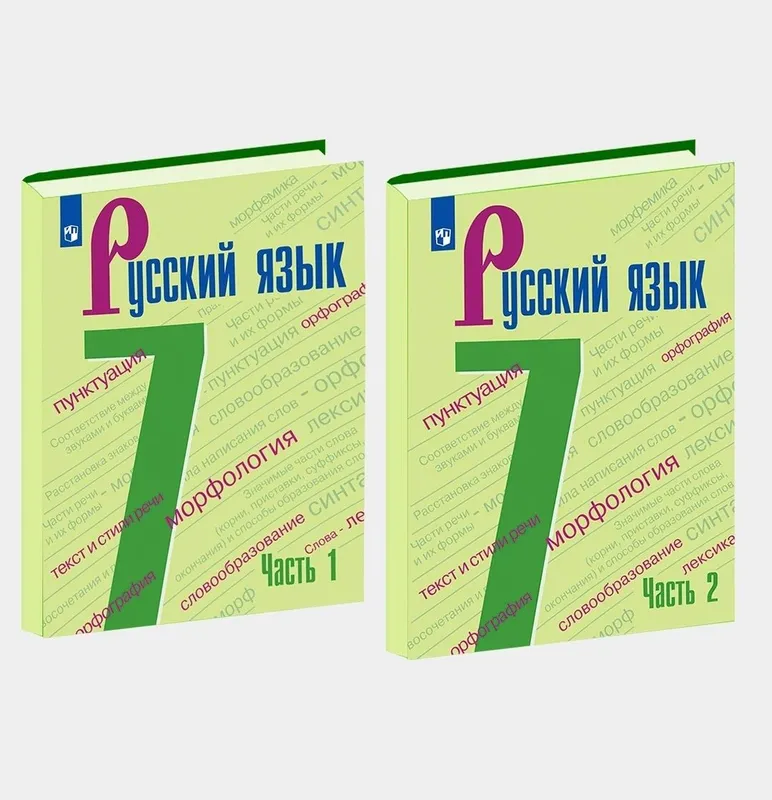 Доставка. Русский язык 5,6,7,8,9 класс Ладыженская — фото 3