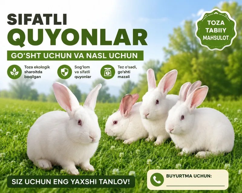 Quyon bolachalari 1 Quyon bolachalari 1